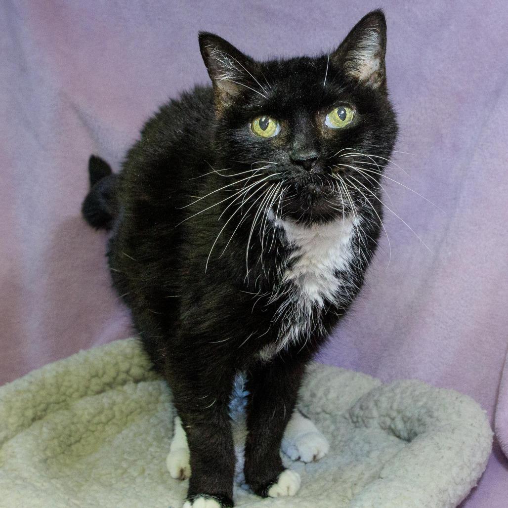 Aurora — thumbnail 3