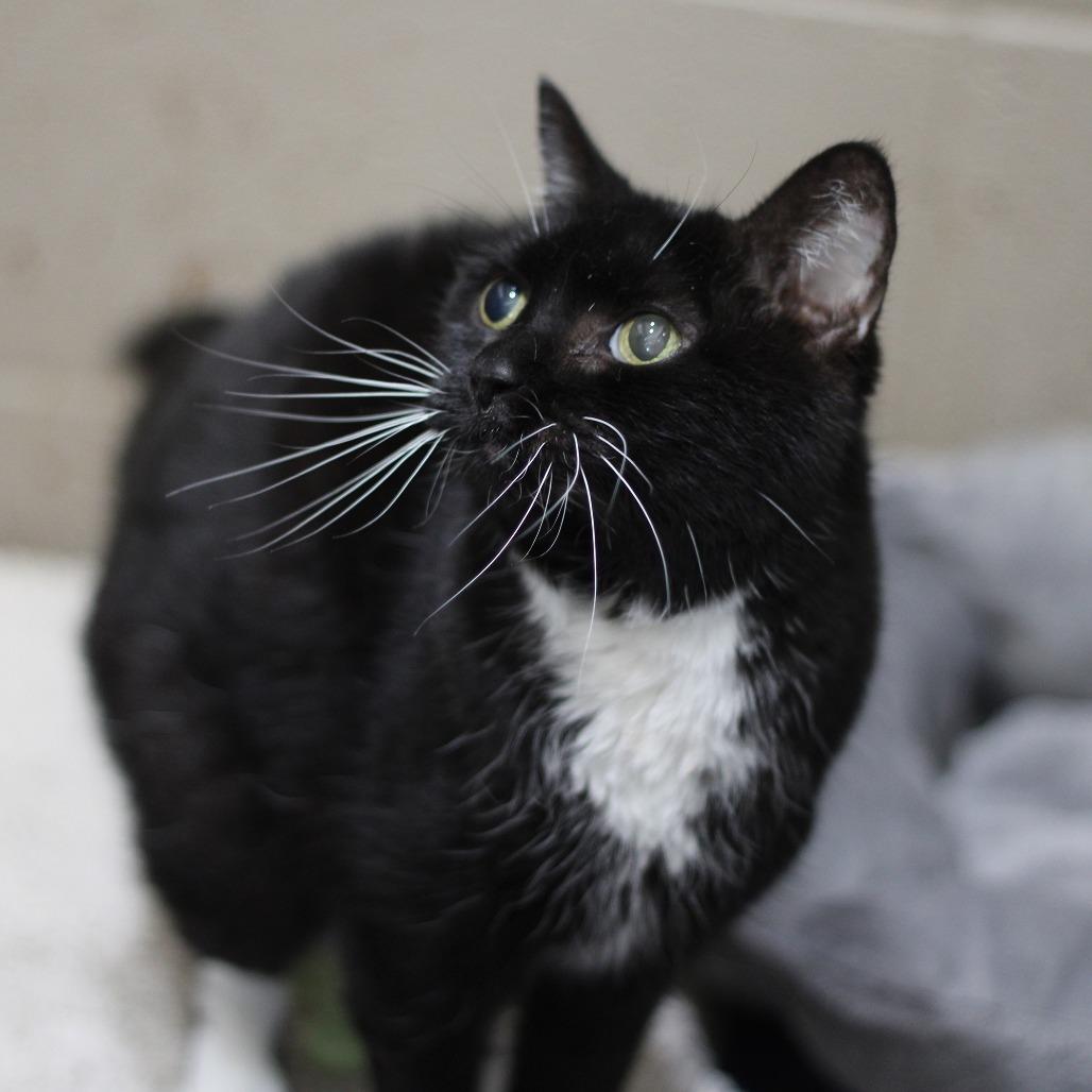 Aurora — thumbnail 4