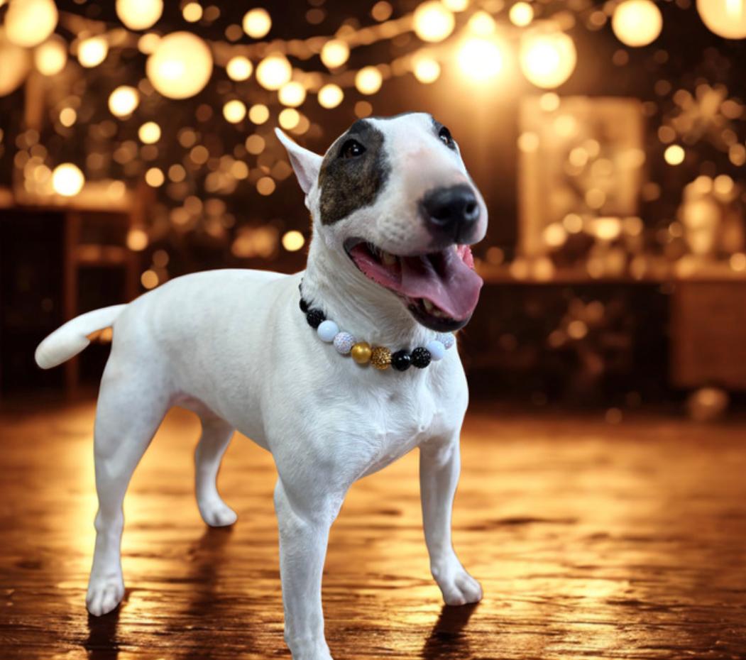 Enlarge Izzy , a ADOPTABLE Bull Terrier in Warrenton, VA image 3/6