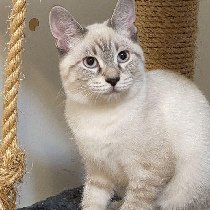 Missy @ Livonia PetSmart