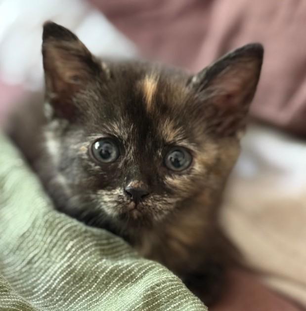 Bean Lazalde thumbnail 3