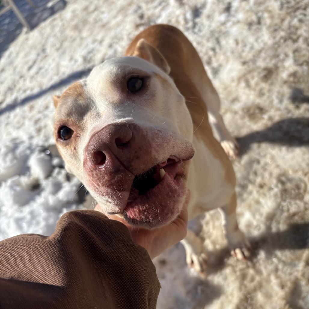 Rico — thumbnail 2