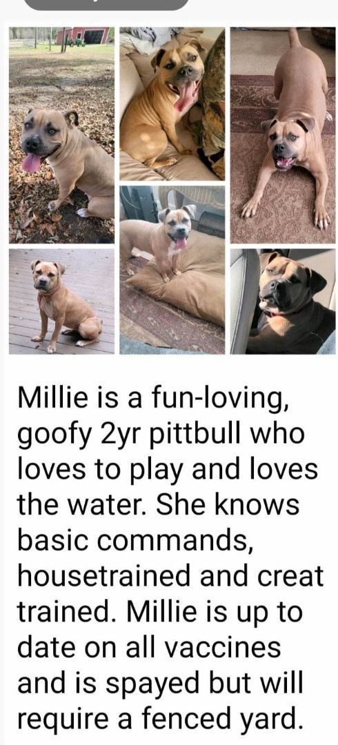 Millie