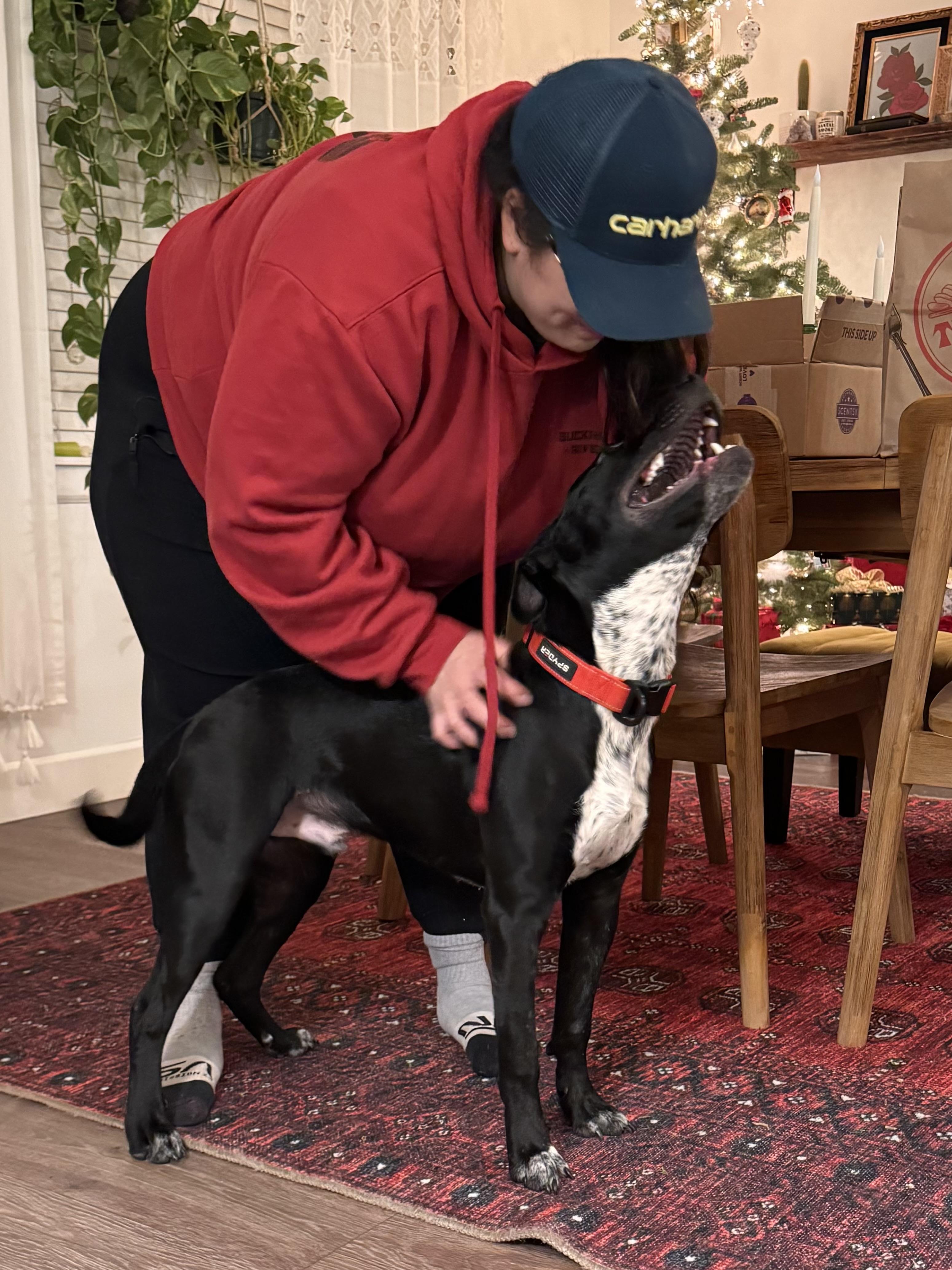 Enlarge Bean, a Adoptable mixed breed in Portland, OR image 5/5