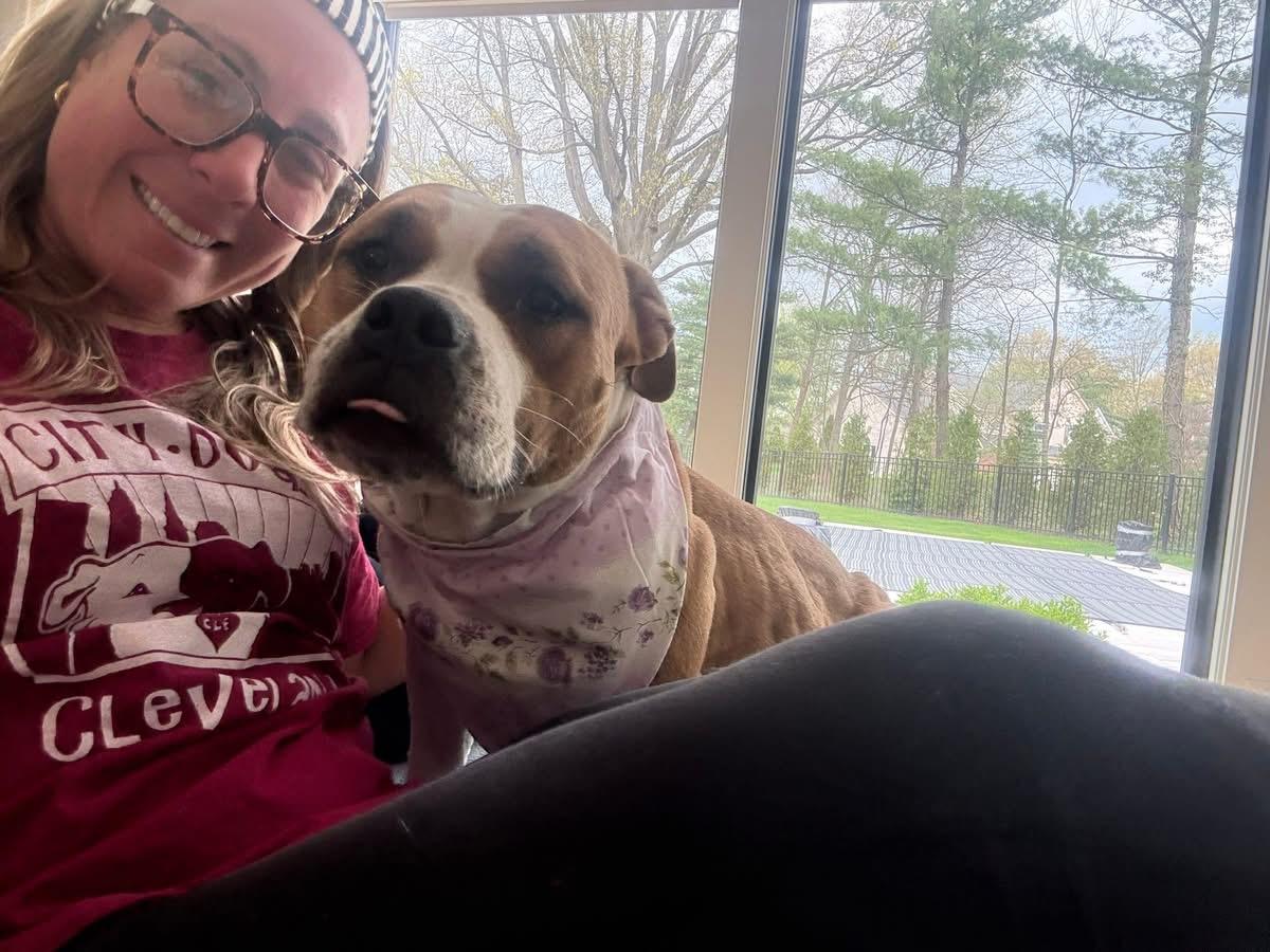 Enlarge Erica, an adopted mixed breed in Cleveland, OH image 4/6