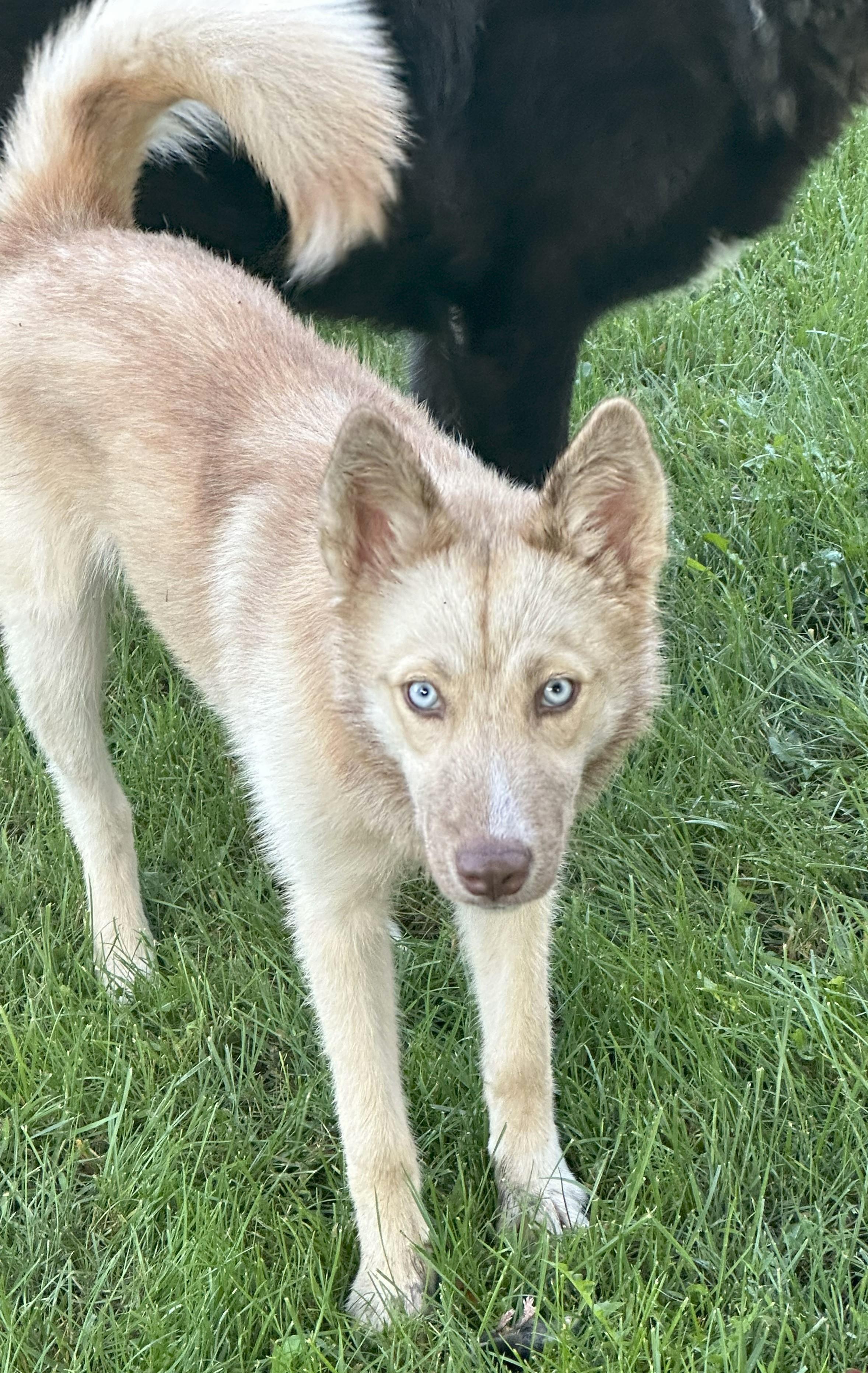 Kita