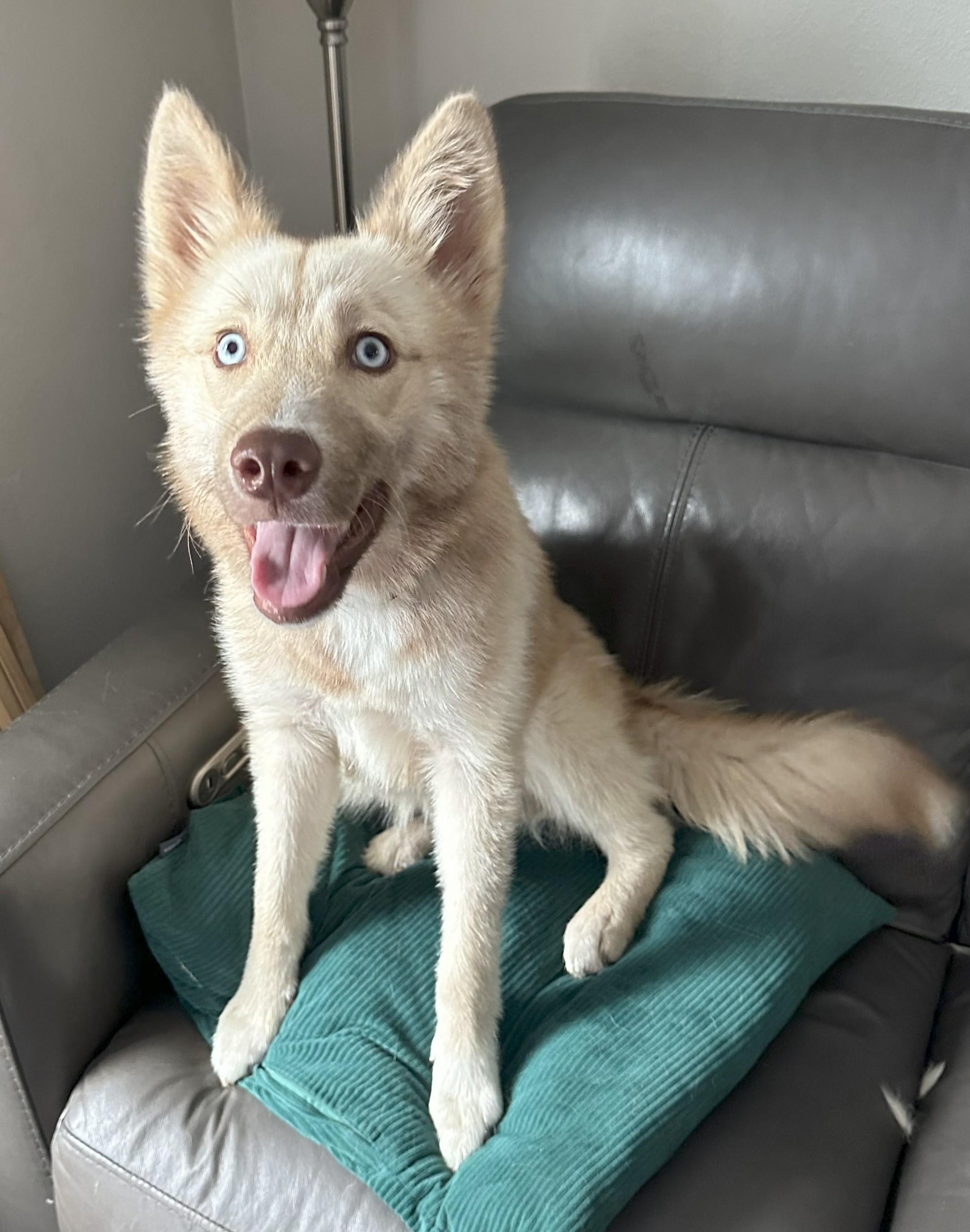 Kita