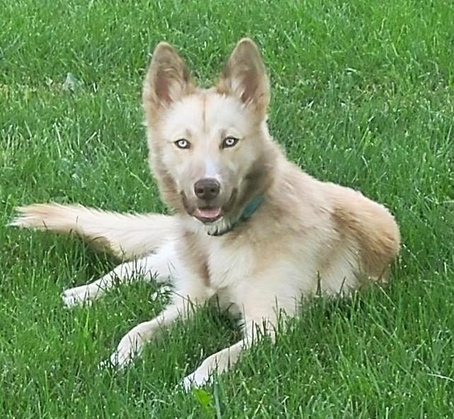 Kita
