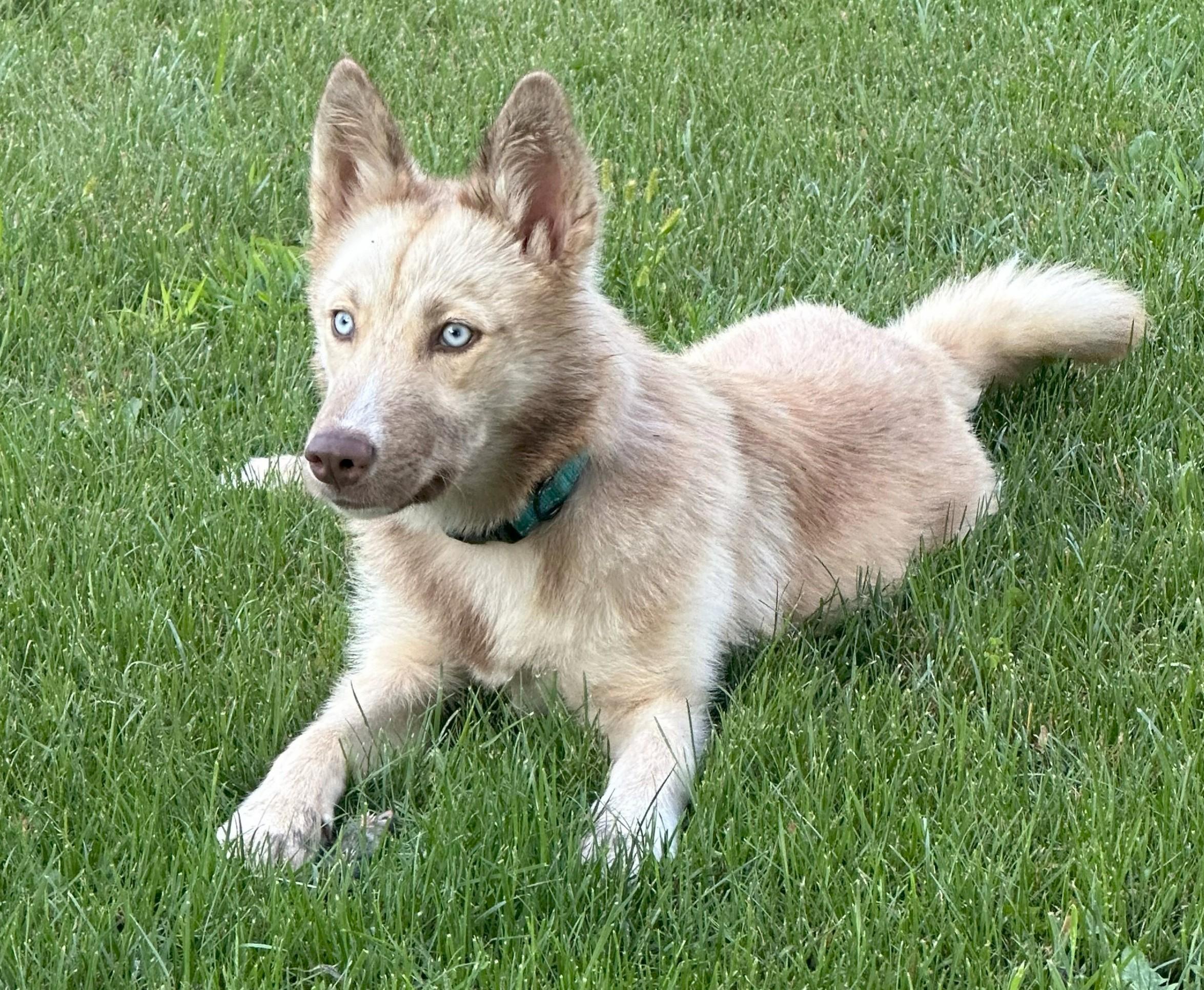 Kita