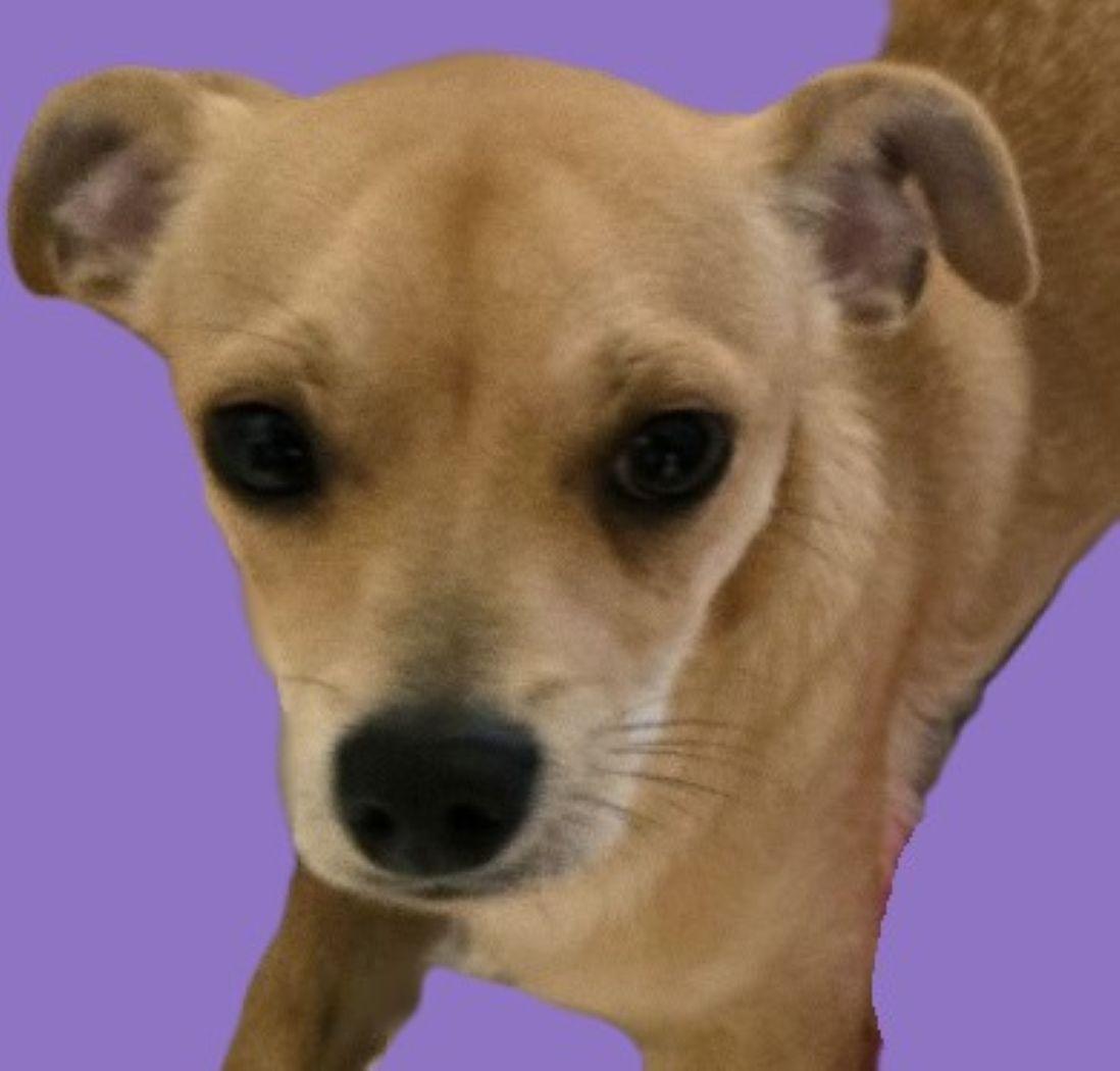 Bubby J — thumbnail 3