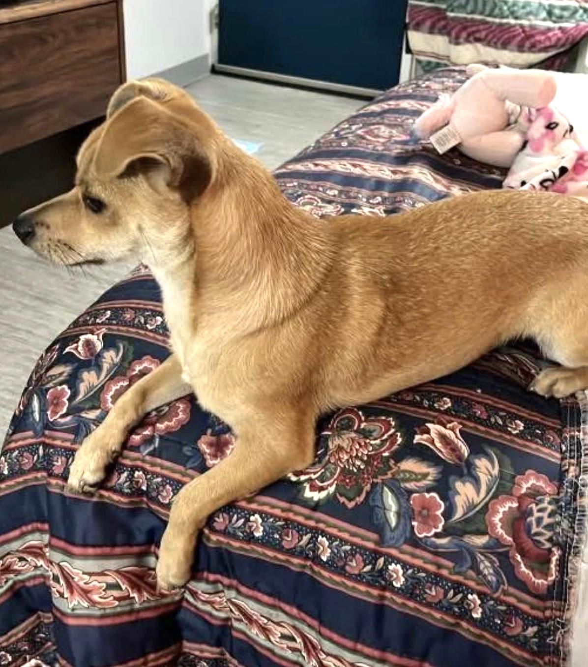 Bubby J — thumbnail 4