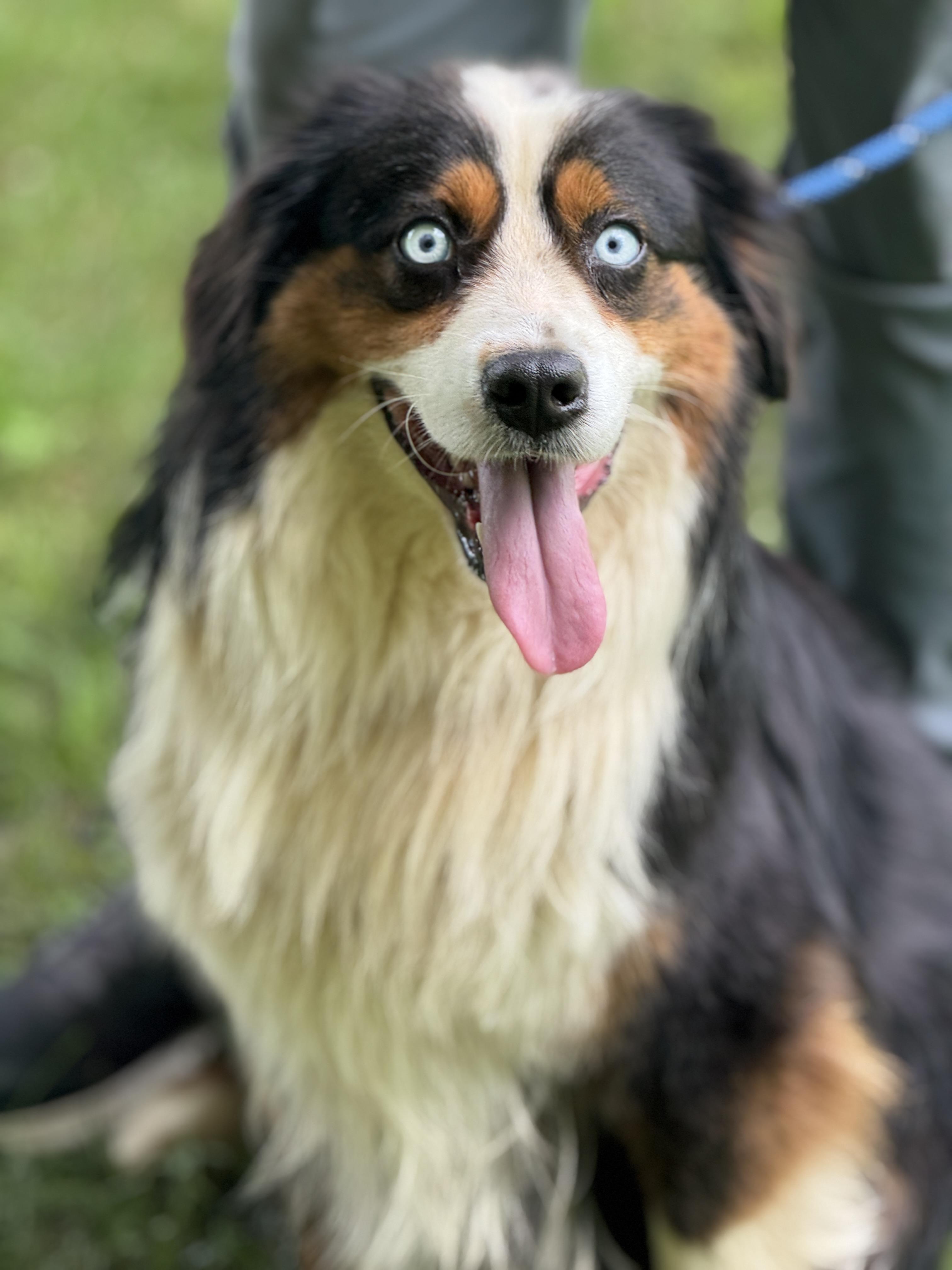 Leo