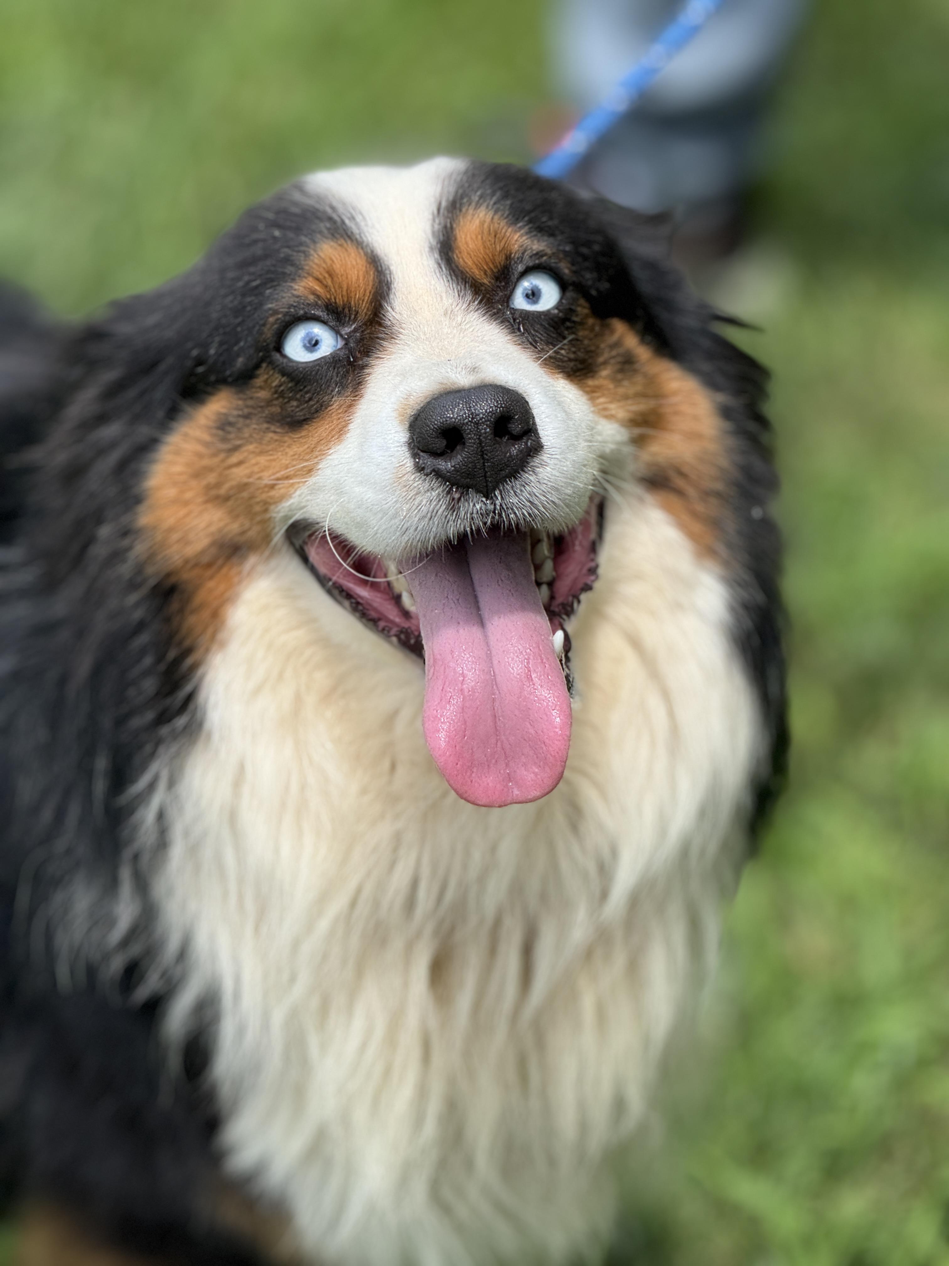 Leo