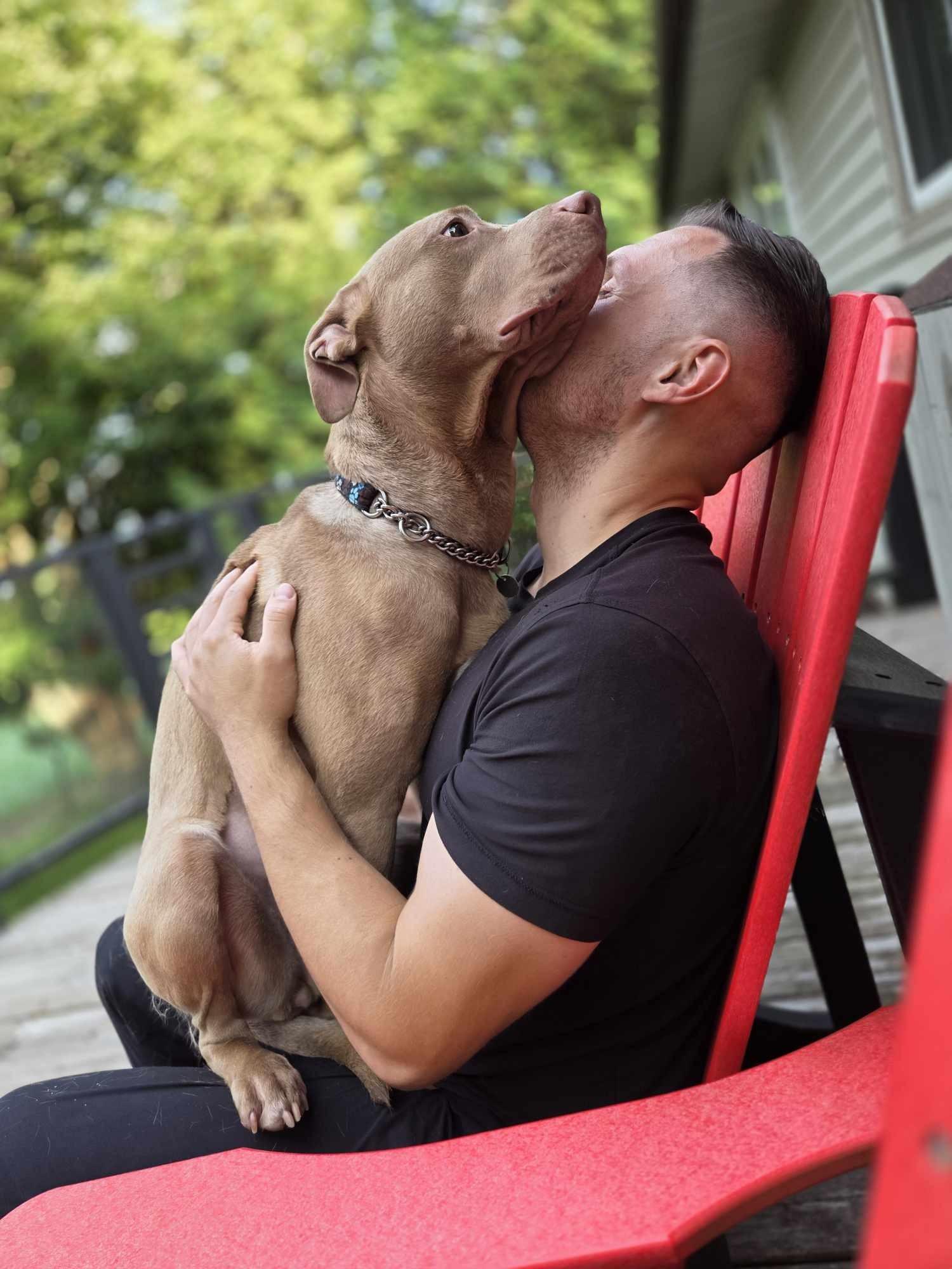 Iris, a Adopted mixed breed in Hamilton, ON image 5/6