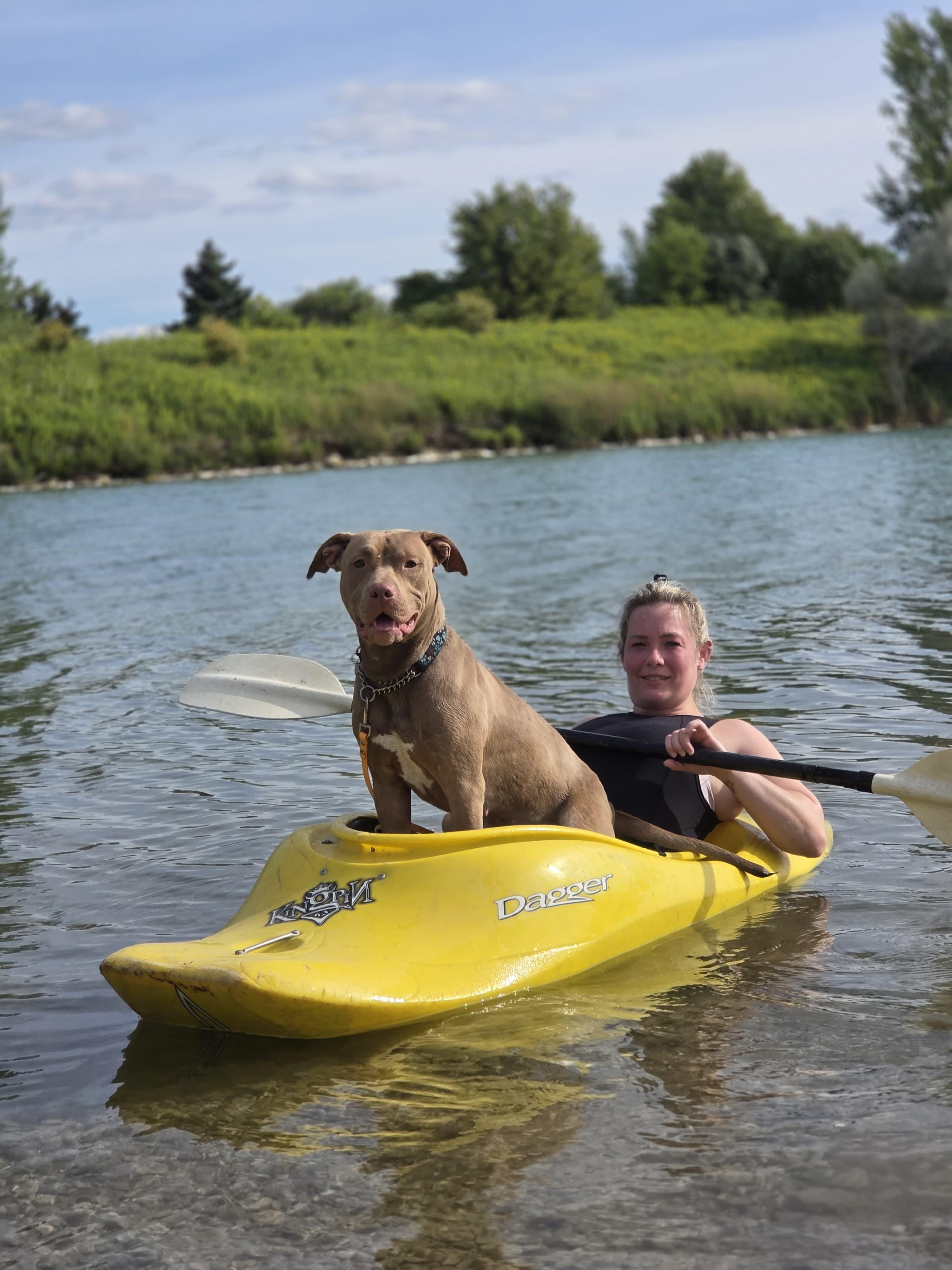 Iris, a Adopted mixed breed in Hamilton, ON image 3/6