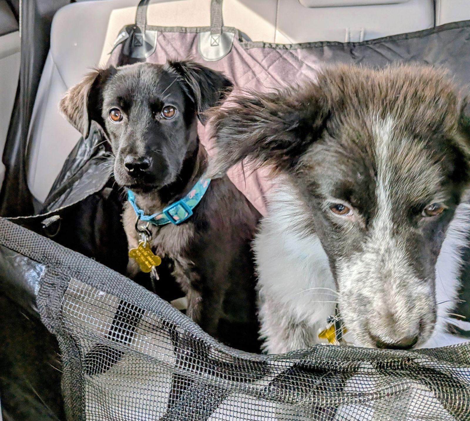 Arlah — thumbnail 3