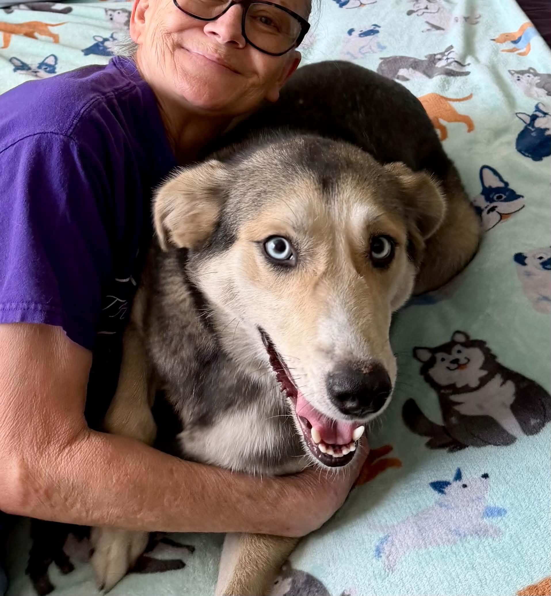 Enlarge CALLY, a Adoptable mixed breed in Largo, FL image 5/6