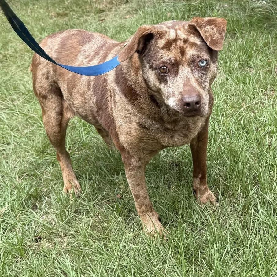 Peanut — thumbnail 2