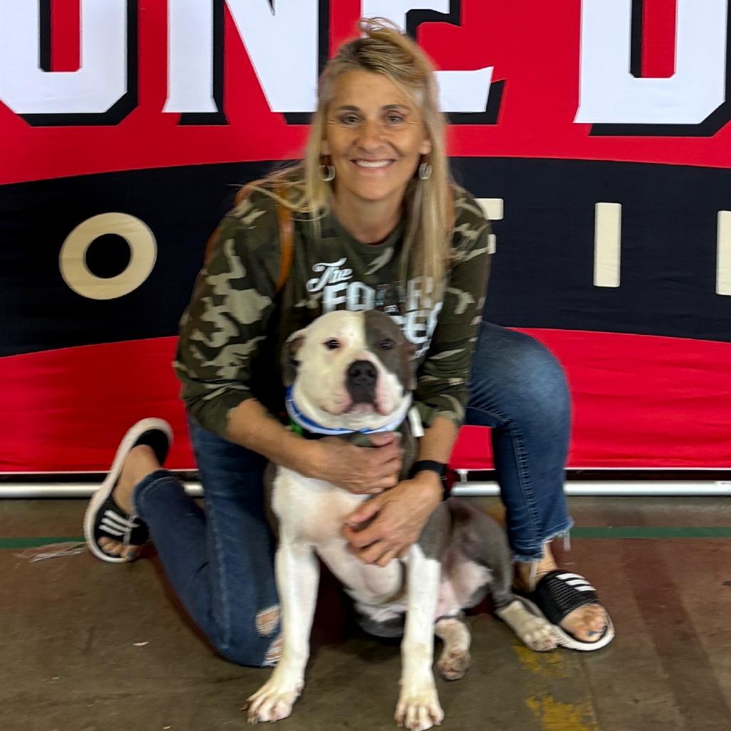 Enlarge Gitano, a Adoptable Pit Bull Terrier in Mooresville, IN image 3/5