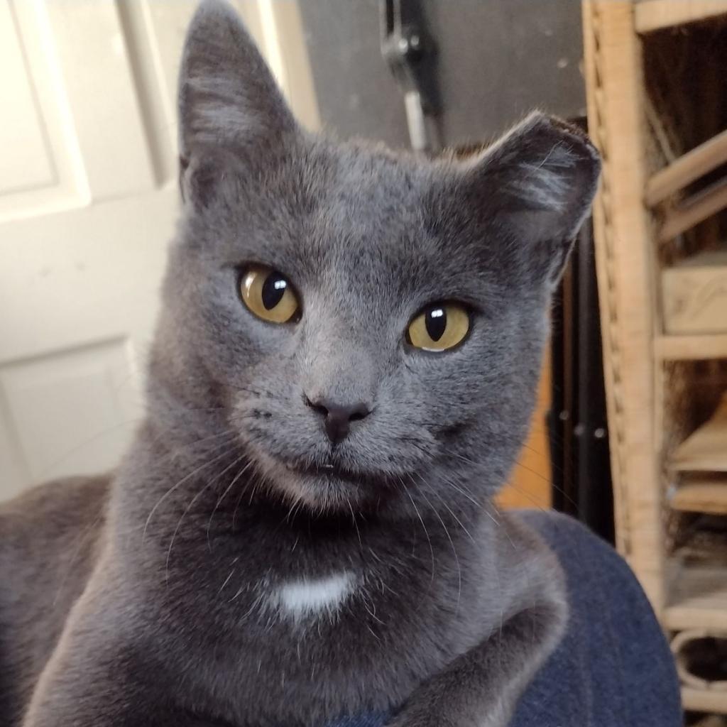 Frankie W — thumbnail 2