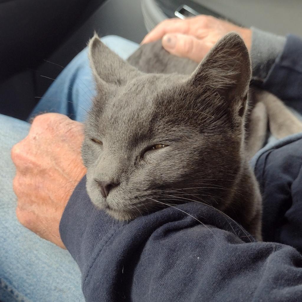 Frankie W — thumbnail 3