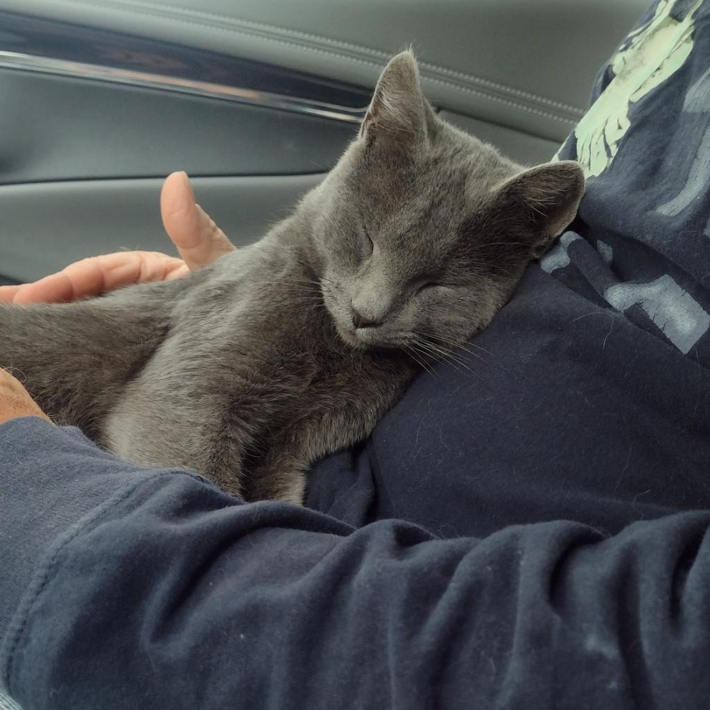 Frankie W — thumbnail 5