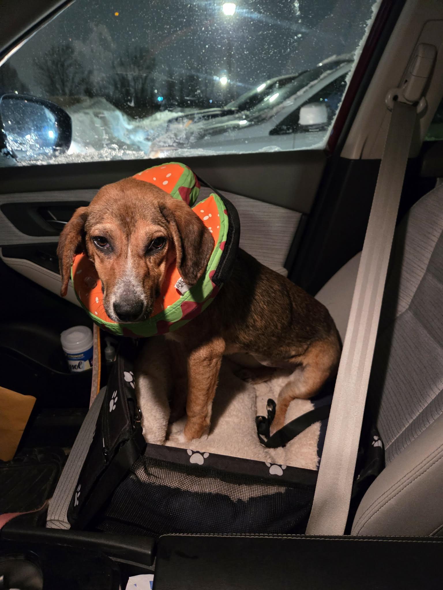 Hopscotch thumbnail 2