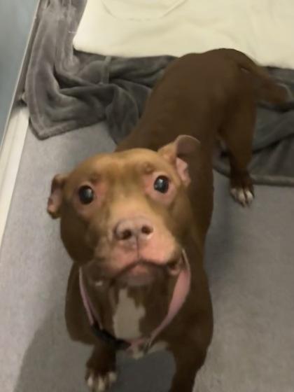 Jayn — thumbnail 2