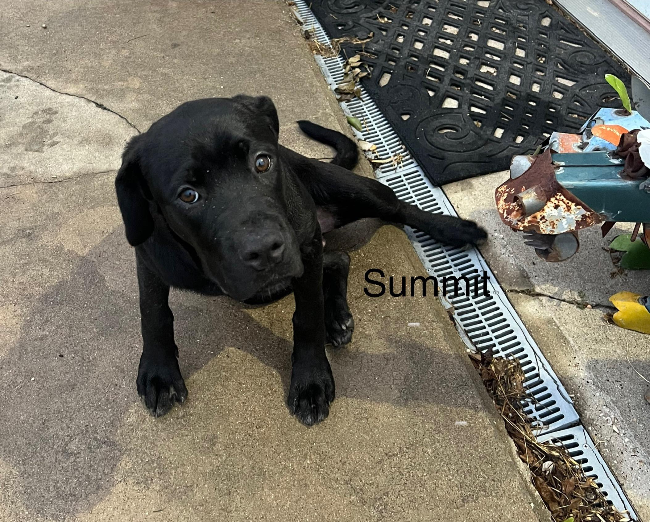 Summit thumbnail 2
