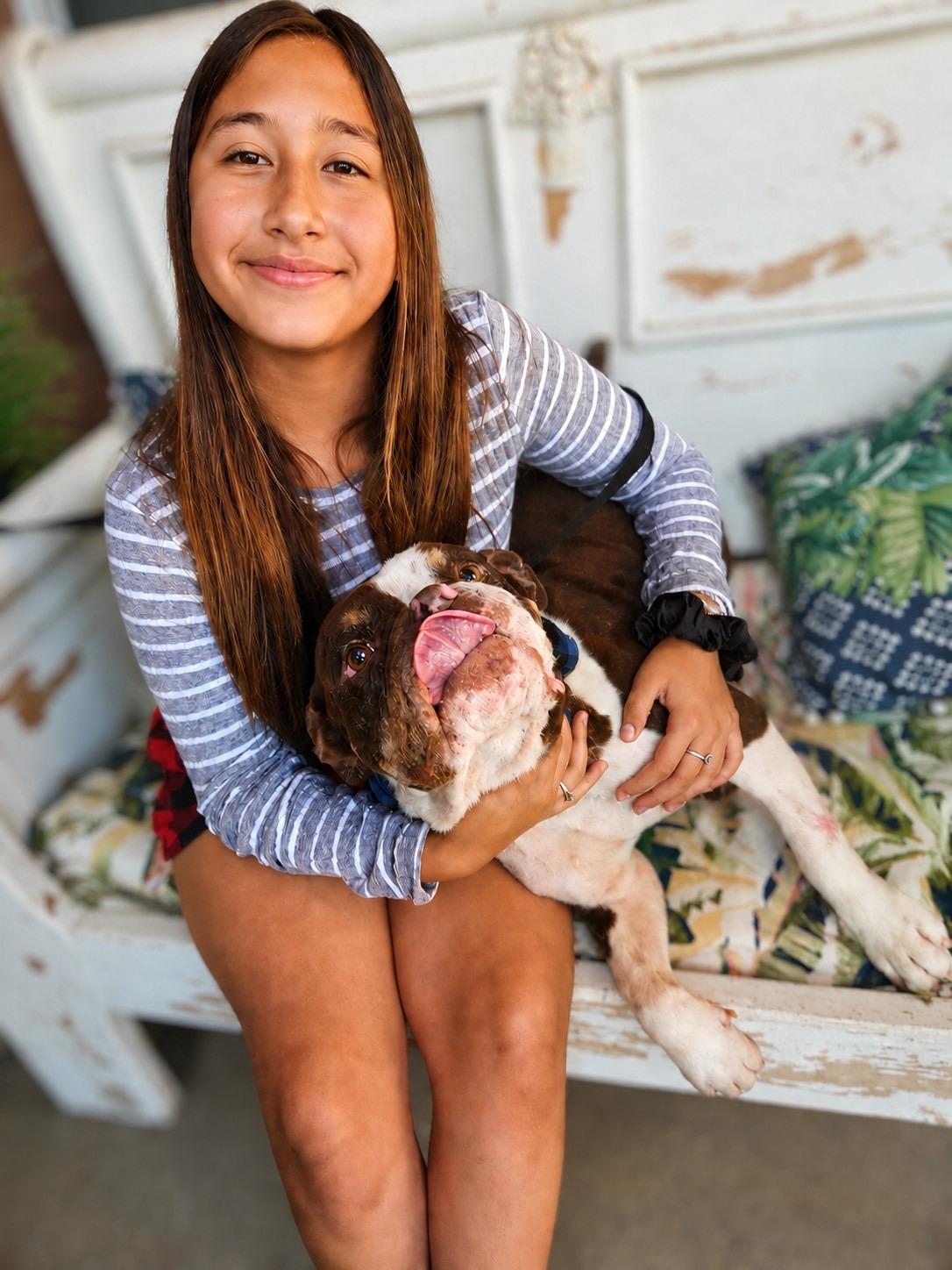 Enlarge Reginald, a ADOPTABLE mixed breed in Murrieta, CA image 4/6