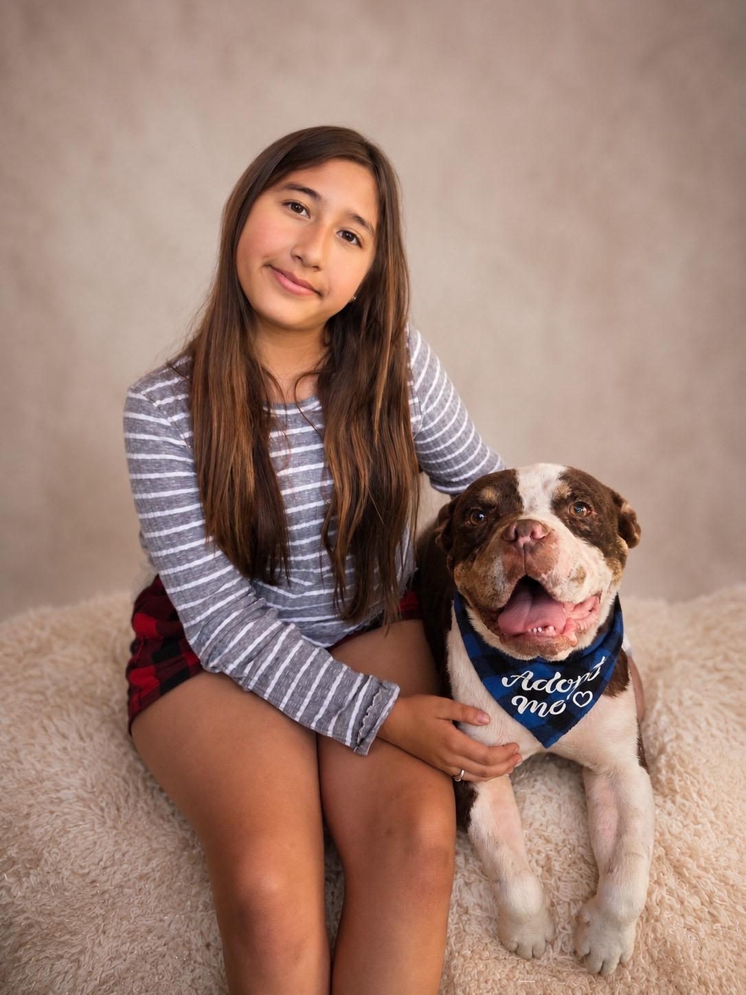 Enlarge Reginald, a ADOPTABLE mixed breed in Murrieta, CA image 6/6
