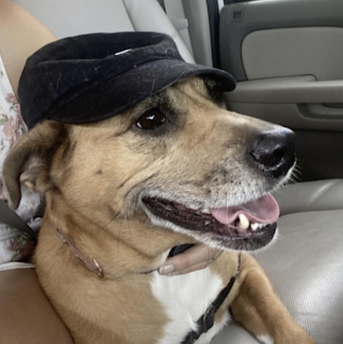 Hayley — thumbnail 2