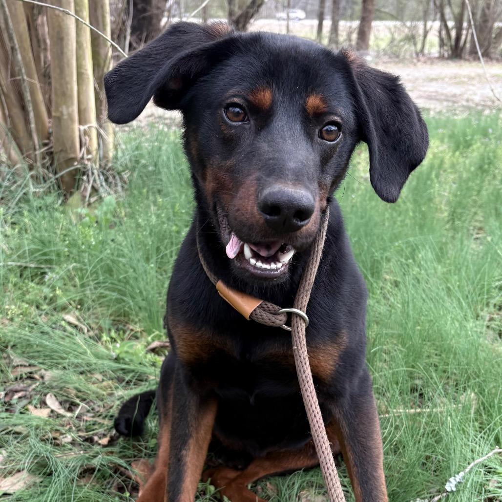 Edgar — thumbnail 2