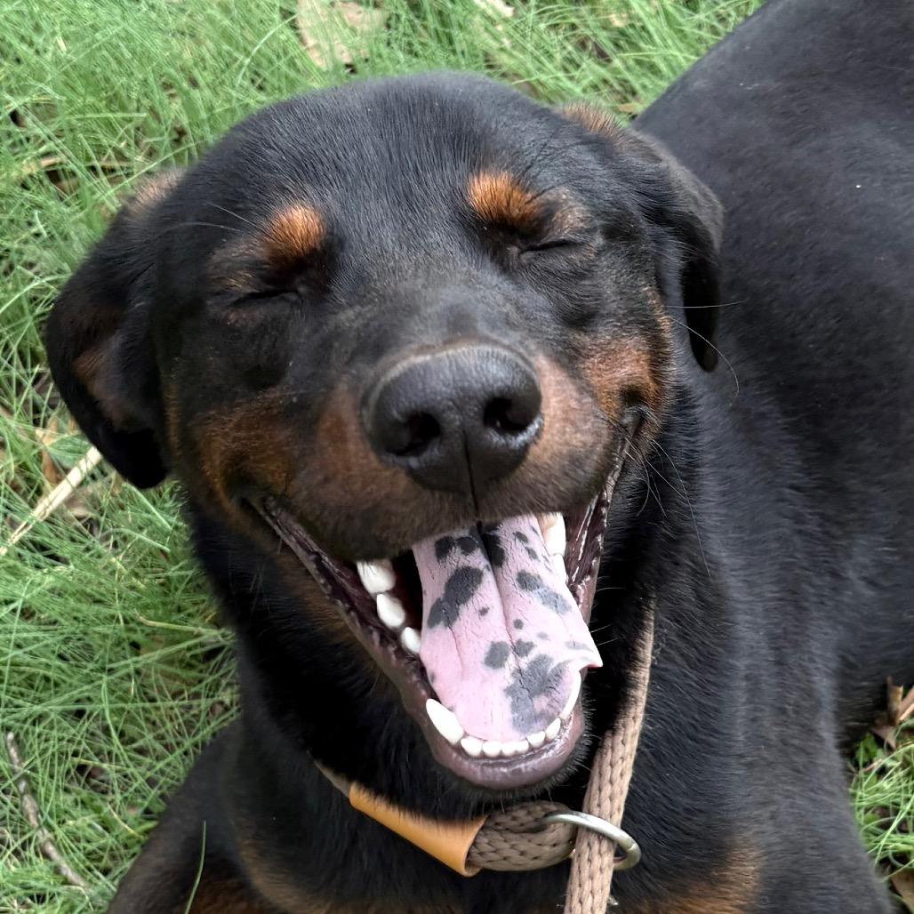 Edgar — thumbnail 3