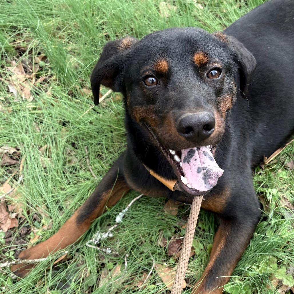 Edgar — thumbnail 4