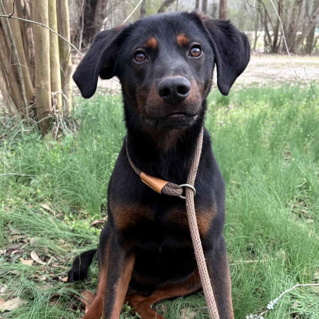 Edgar — thumbnail 5