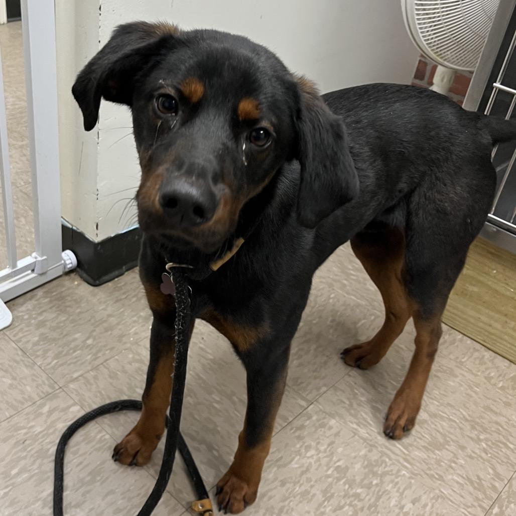 Edgar — thumbnail 6