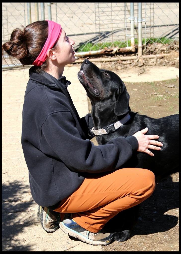 Enlarge Beth, a ADOPTABLE mixed breed in Shippenville, PA image 4/6