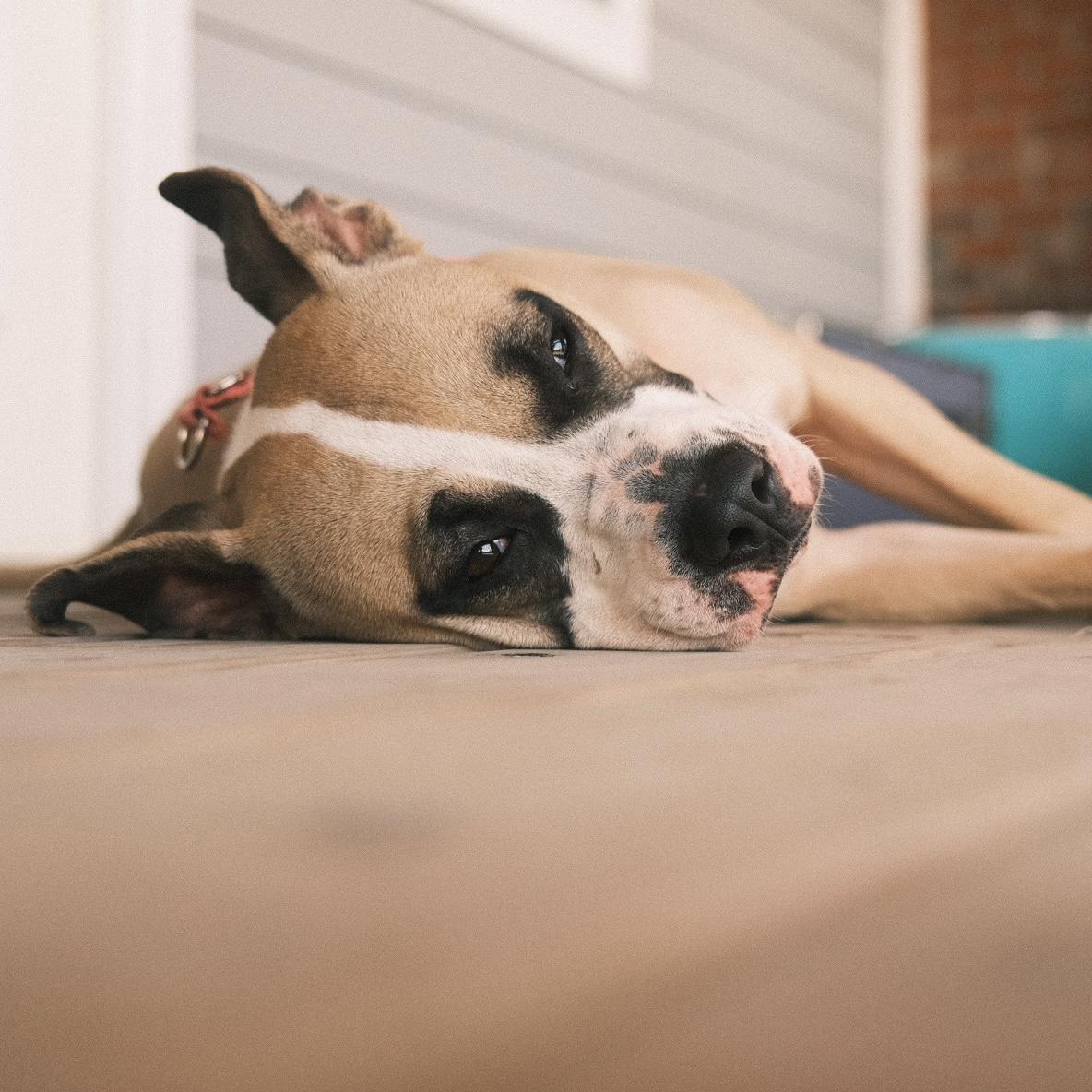 Celeste — thumbnail 2