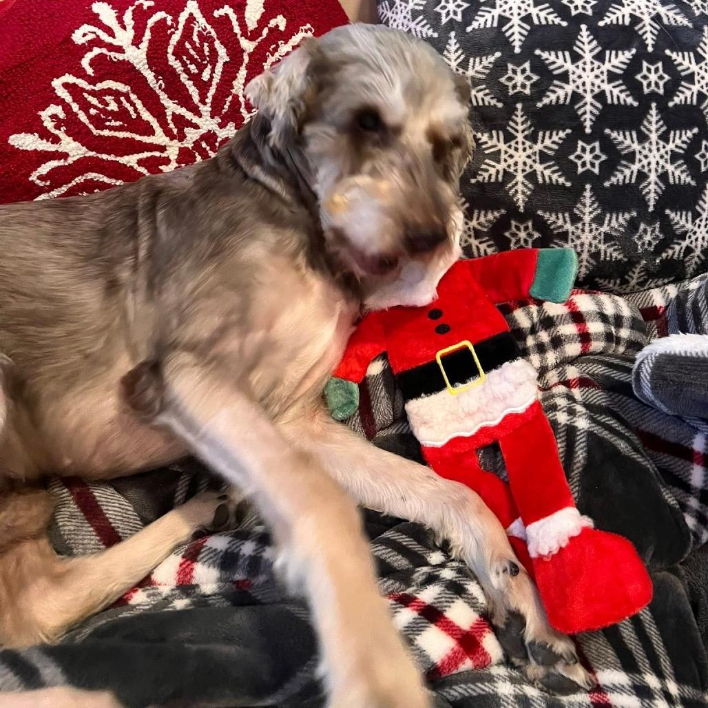 Venn — thumbnail 2