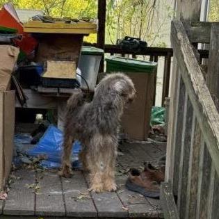 Venn — thumbnail 3