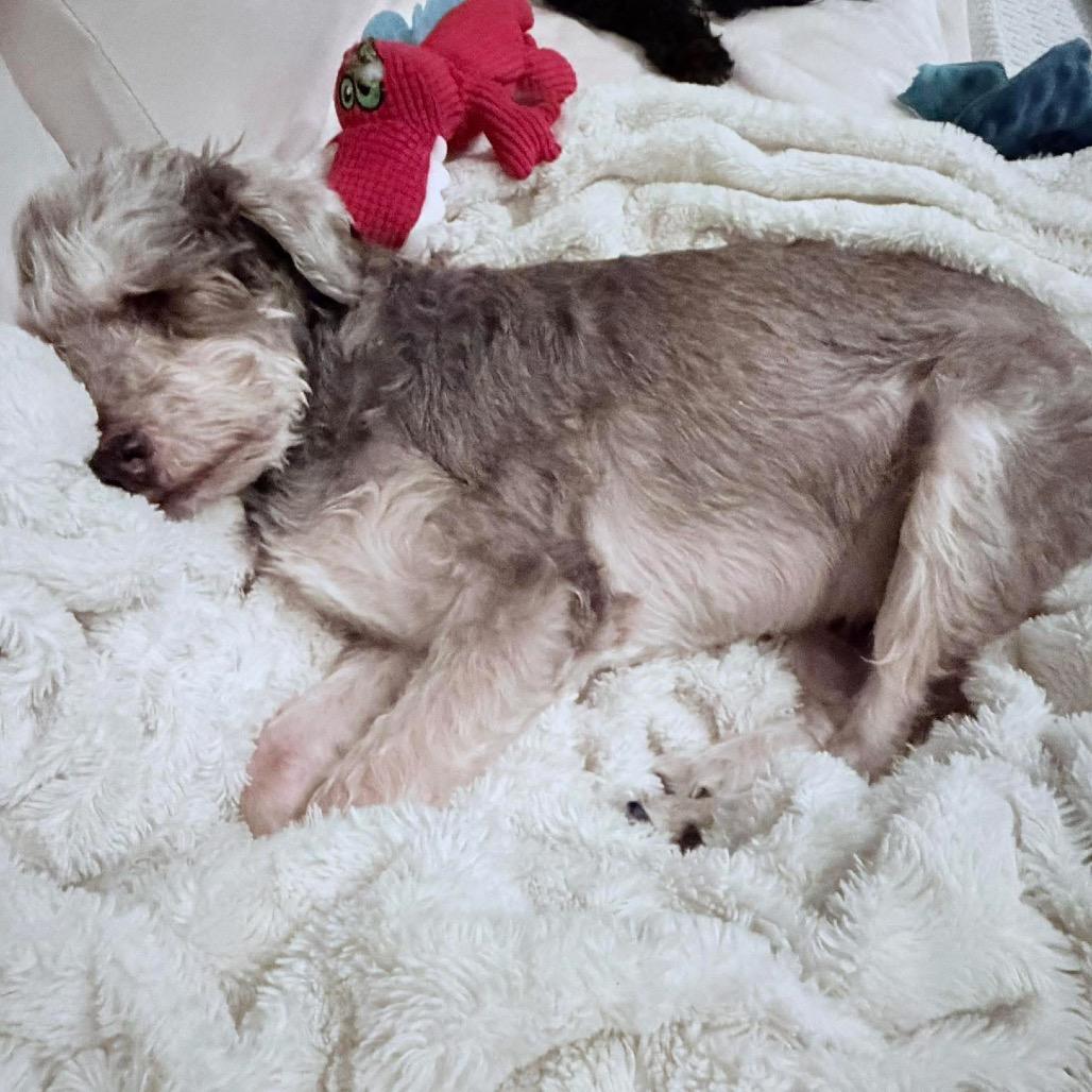 Venn — thumbnail 4