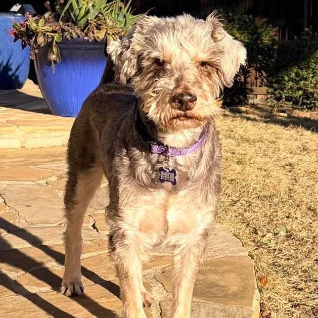 Venn — thumbnail 5