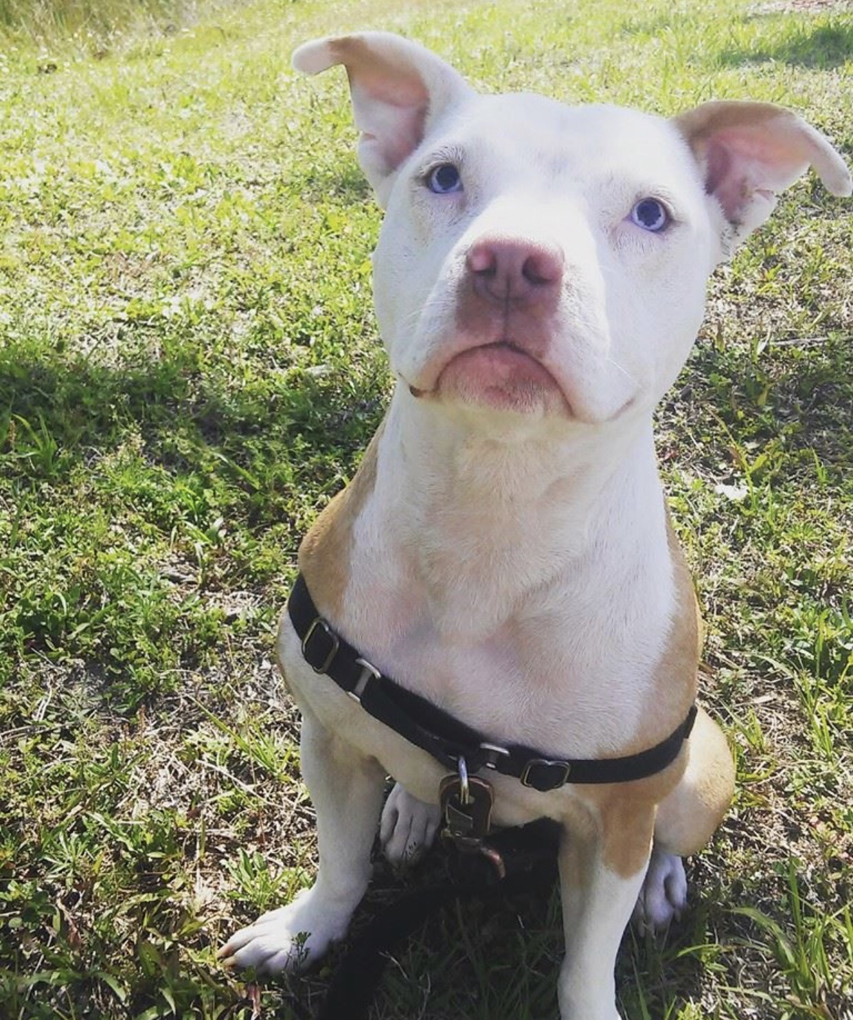 Zora photo 3