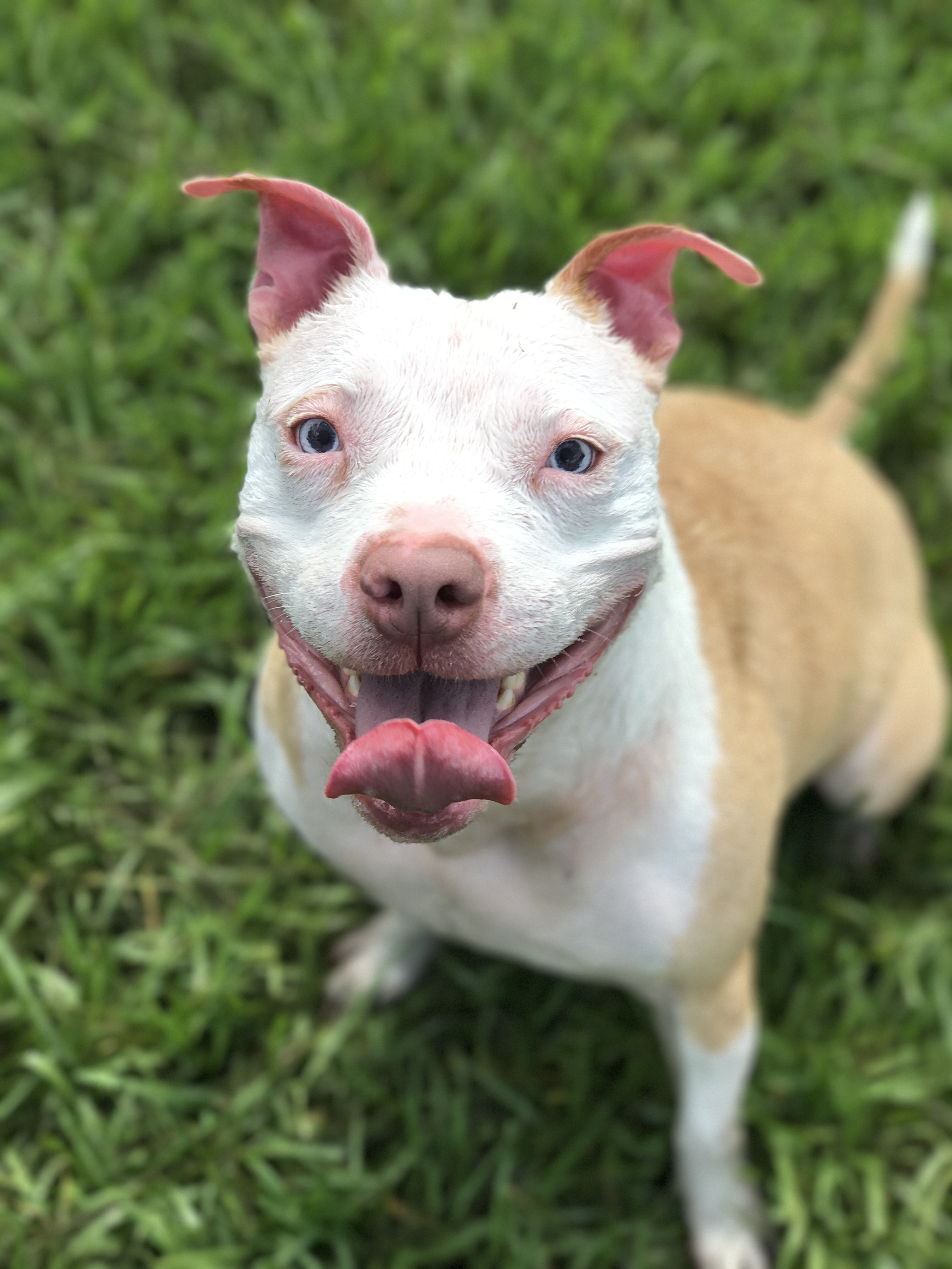 Zora photo 4