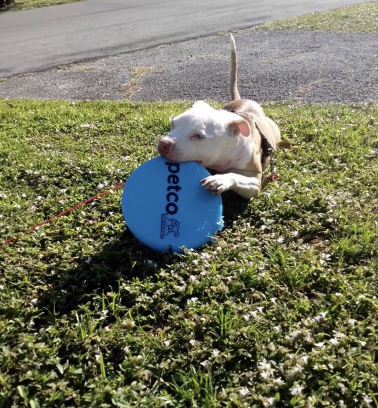 Zora photo 2