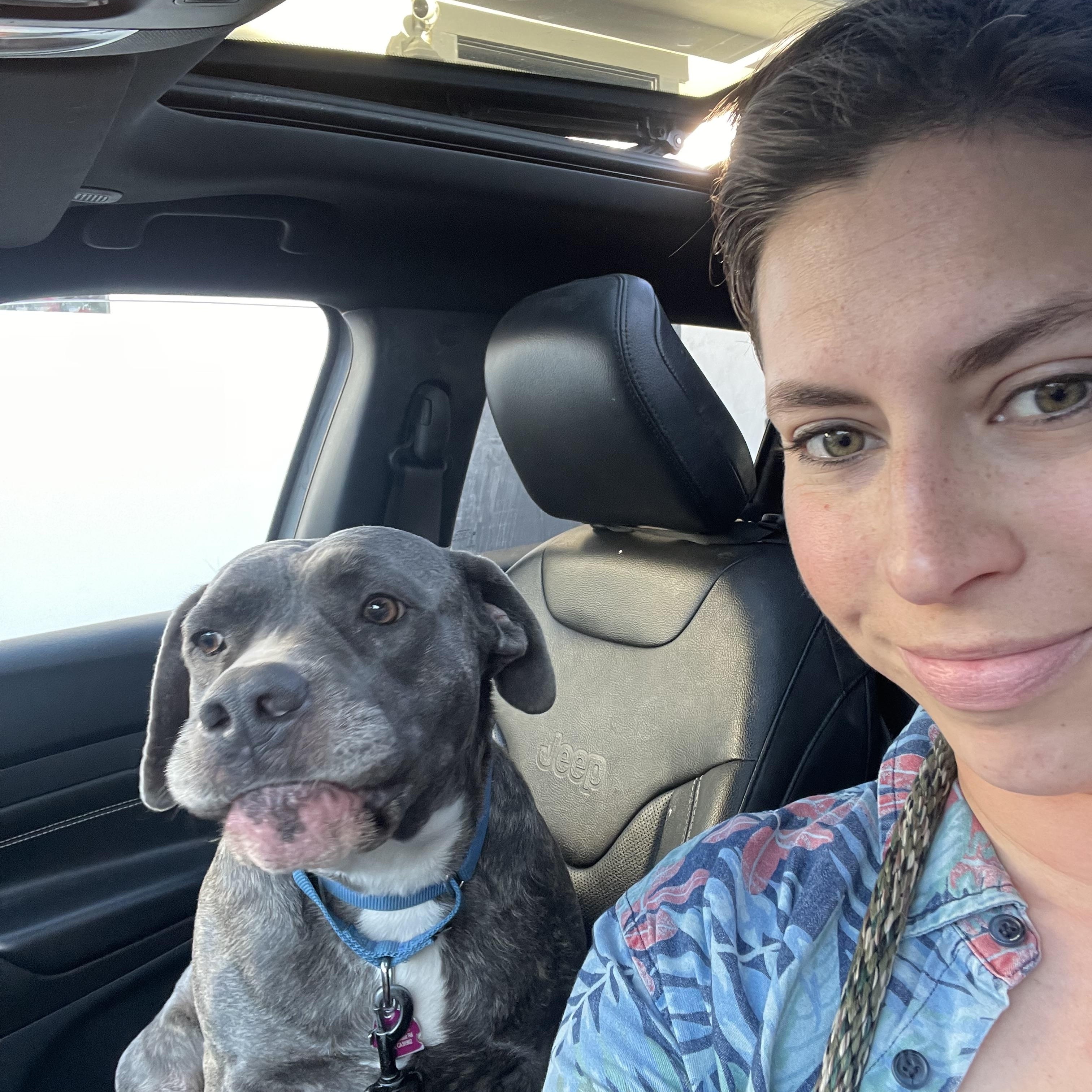 Enlarge Lilly, a ADOPTABLE Mixed Breed in San Diego, CA image 6/6