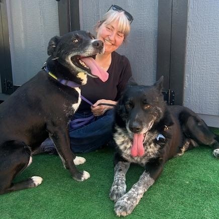 Enlarge Chikies, a ADOPTABLE mixed breed in Burbank, CA image 3/6