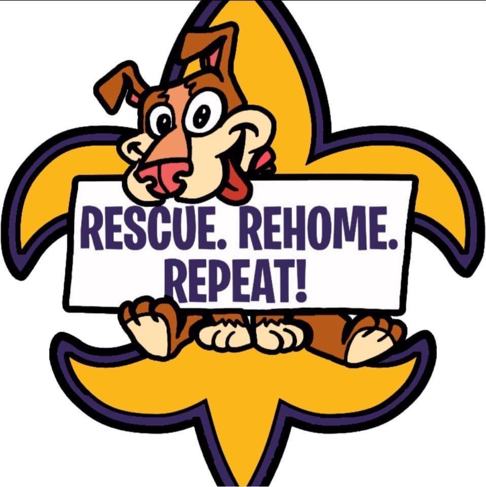 Enlarge Kurt , a ADOPTABLE Australian Shepherd in Walker, LA image 3/3