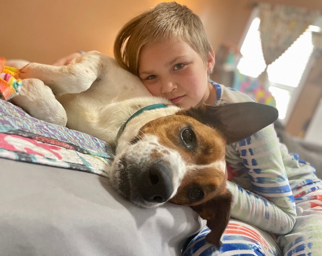 GABBIE, a Adoptable mixed breed in Alpharetta, GA image 5/6